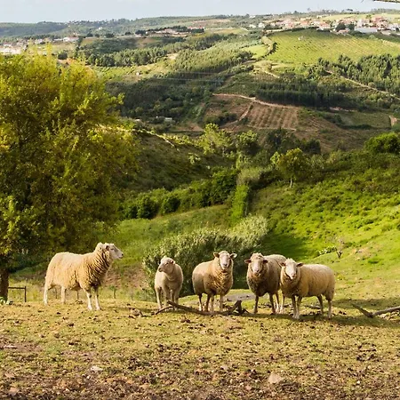 Old Farm